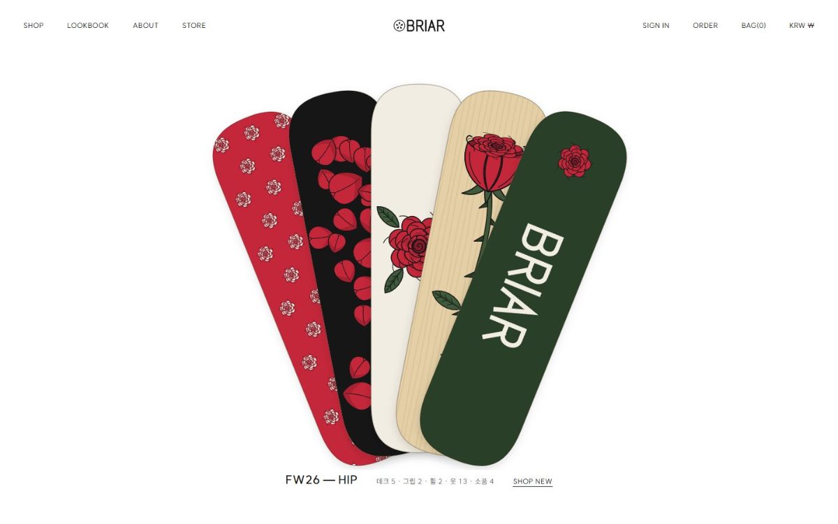 BRIAR 찔레 첫 화면