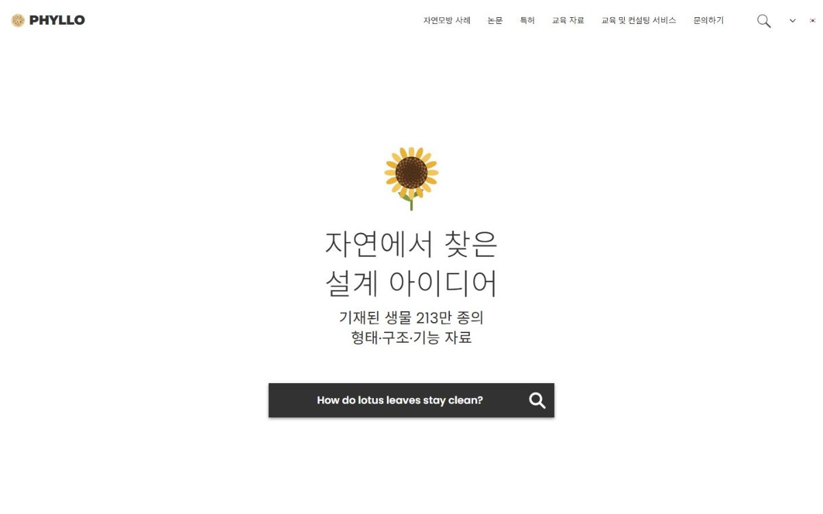 필로 PHYLLO 첫 화면